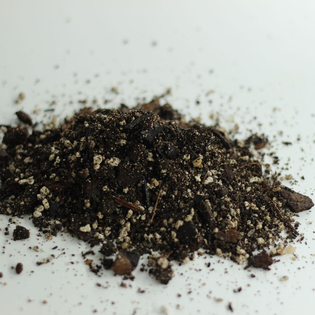 Substrát pro kapradiny