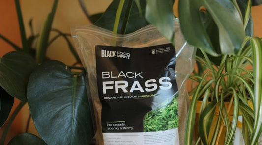 Hnojení pomocí hmyzích bobků! Aneb spolupráce s Black Frass🌱