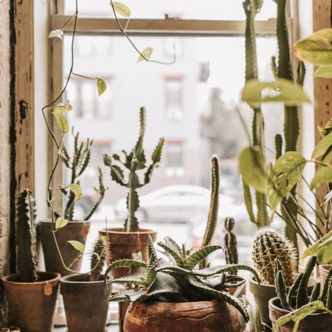 Podzim a vše kolem něj