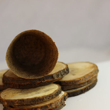 Kokosový květináč (8 cm)