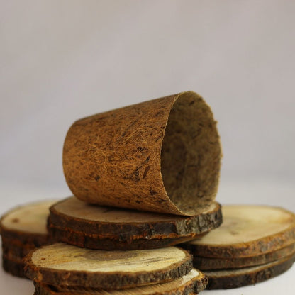 Kokosový květináč (8 cm)