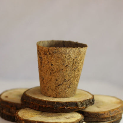 Kokosový květináč (8 cm)