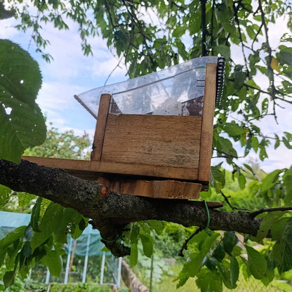 Krmítko pro veverky (hand made)