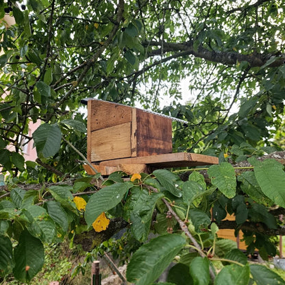 Krmítko pro veverky (hand made)