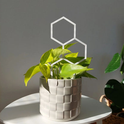 Opora pro pokojovky HONEYCOMB