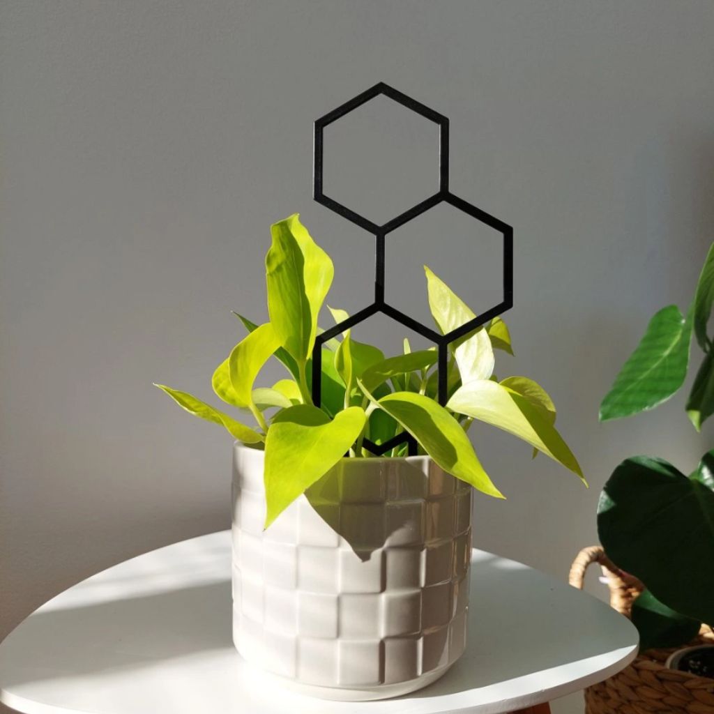 Opora pro pokojovky HONEYCOMB