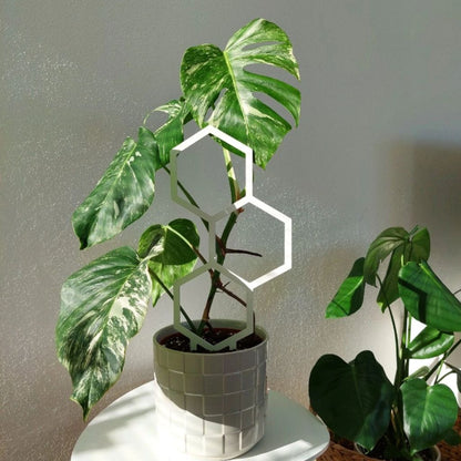 Opora pro pokojovky HONEYCOMB