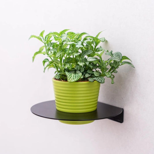 Police na pokojovky KRUH