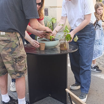 Workshop: Šetrně k přírodě
