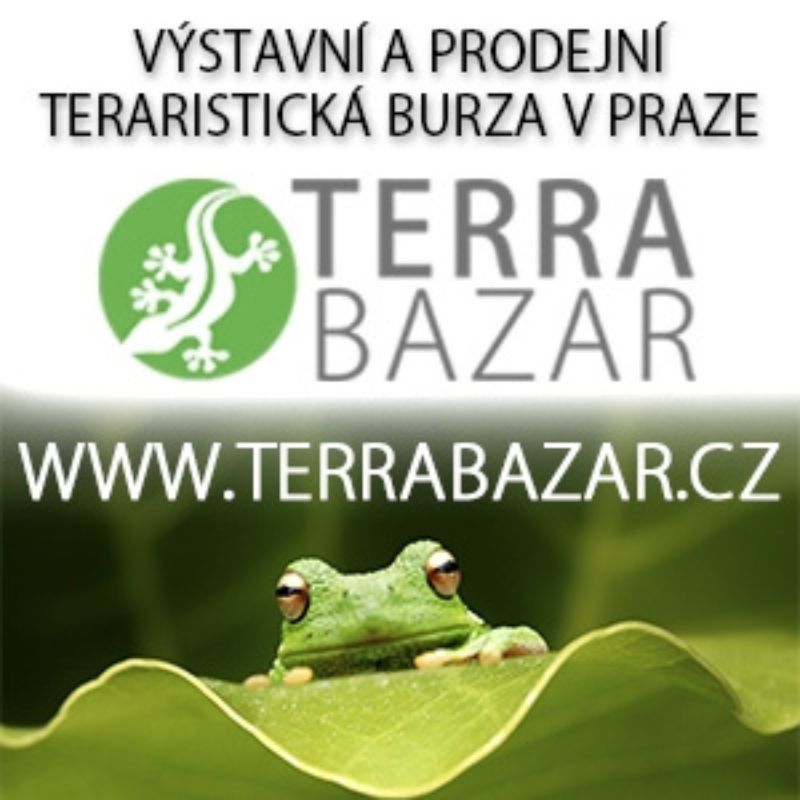 terrabazar_zaba_letak