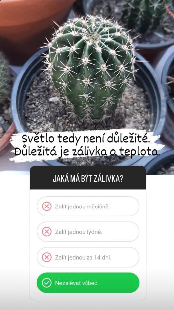 jaka_ma_byt_zalivka_u_zimovani_kaktusu